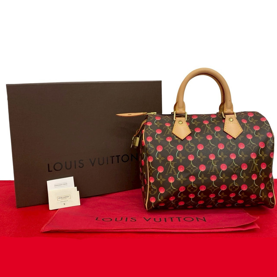 路易威登 Speedy 25 手提包