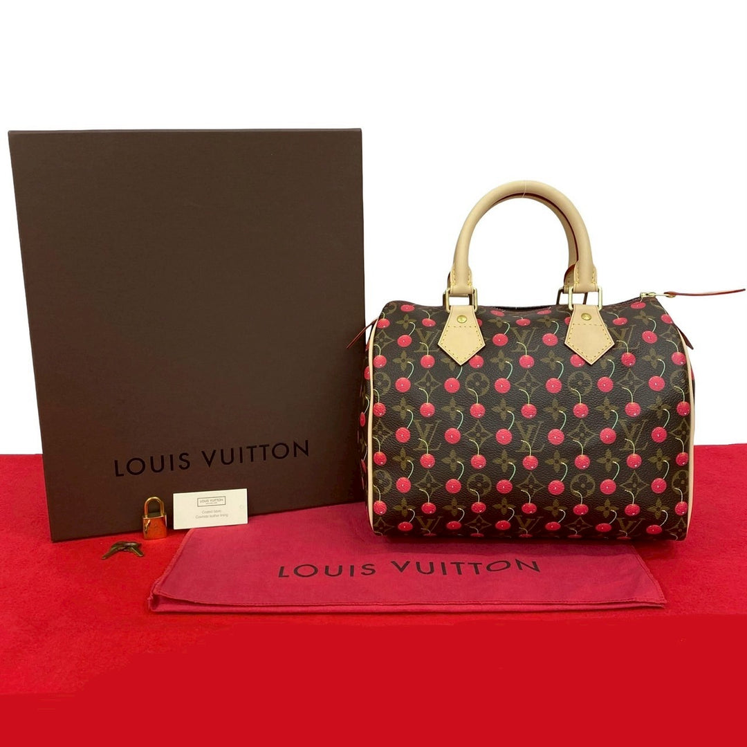 路易威登 Speedy 25 手提包
