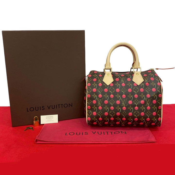 路易威登 Speedy 25 手提包