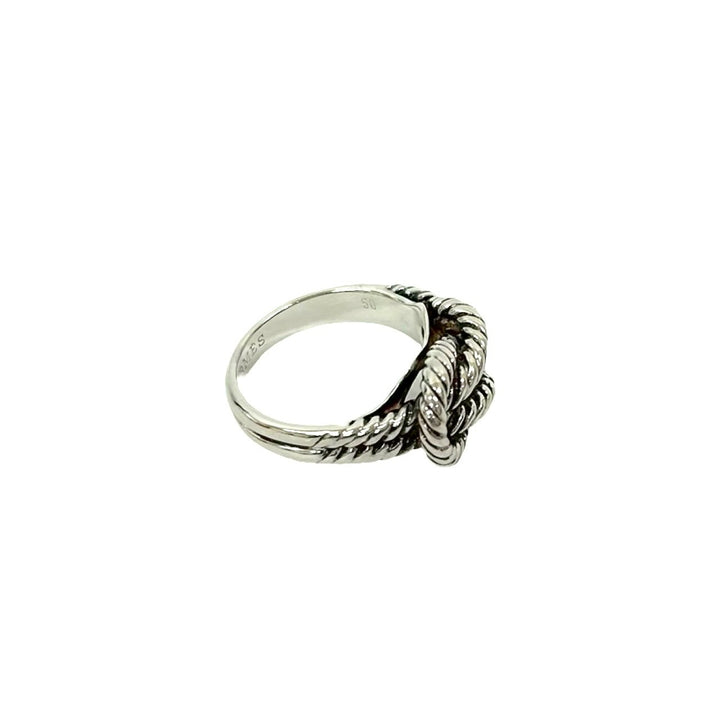 Rings Hermes Audience