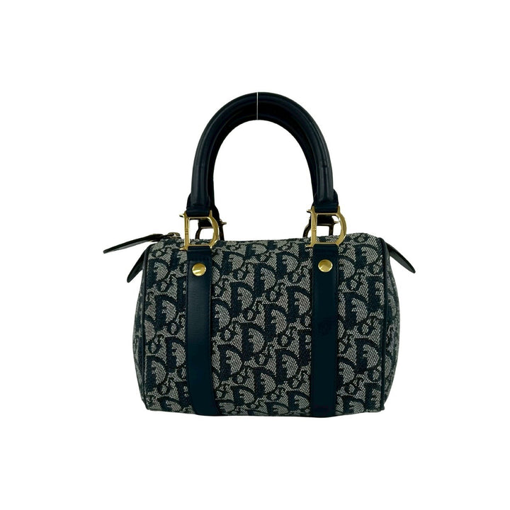 handbag dior