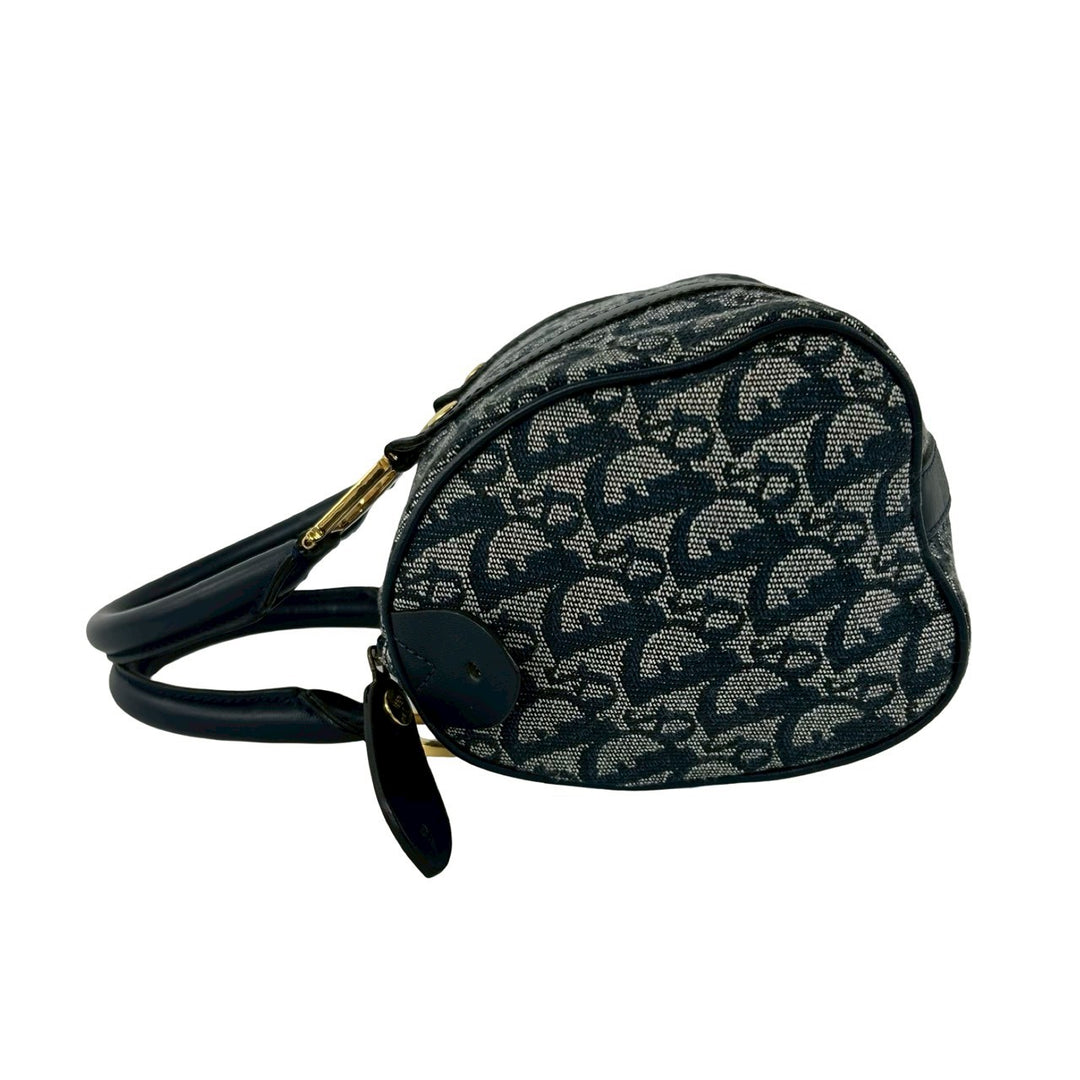 handbag dior