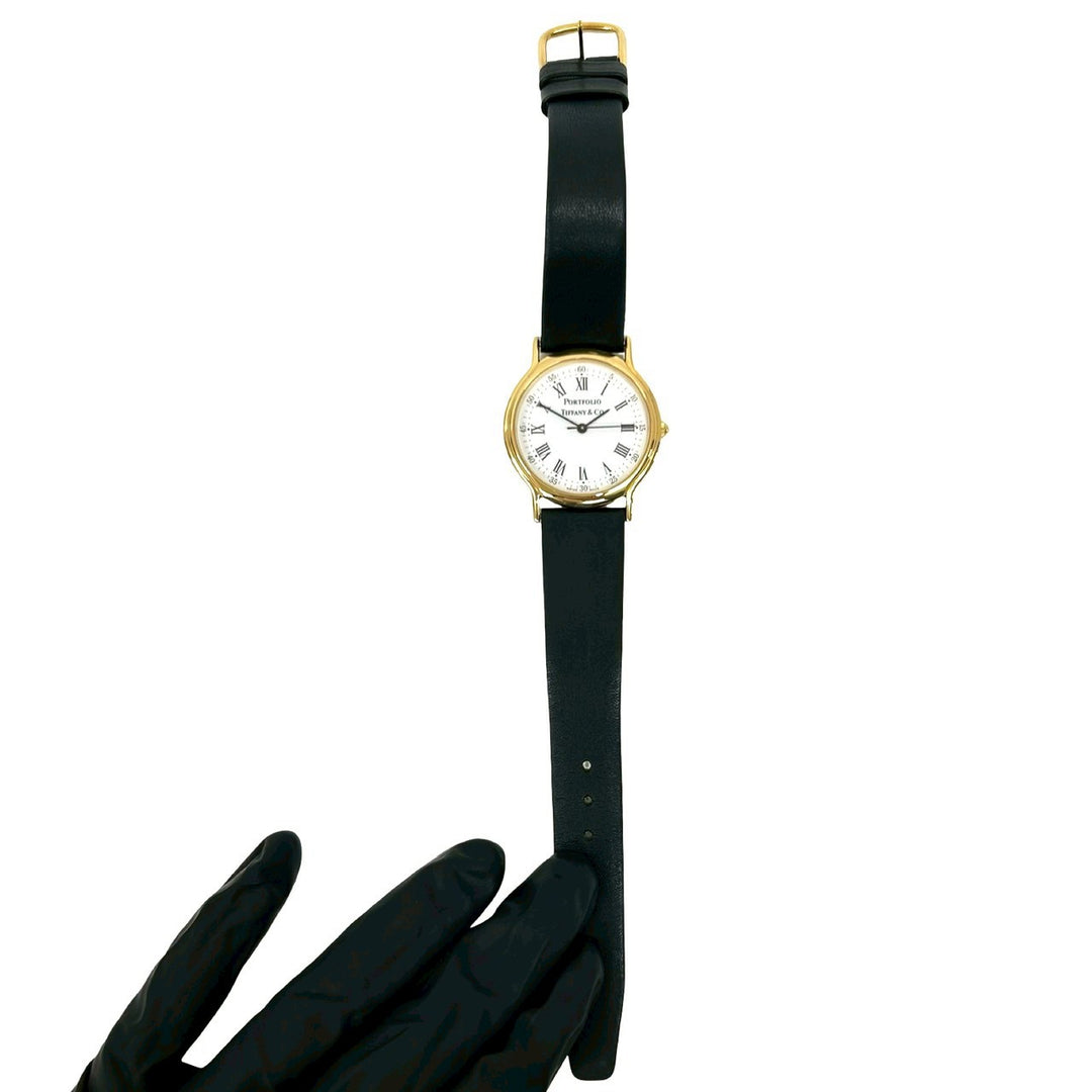 watches tiffany portfolio