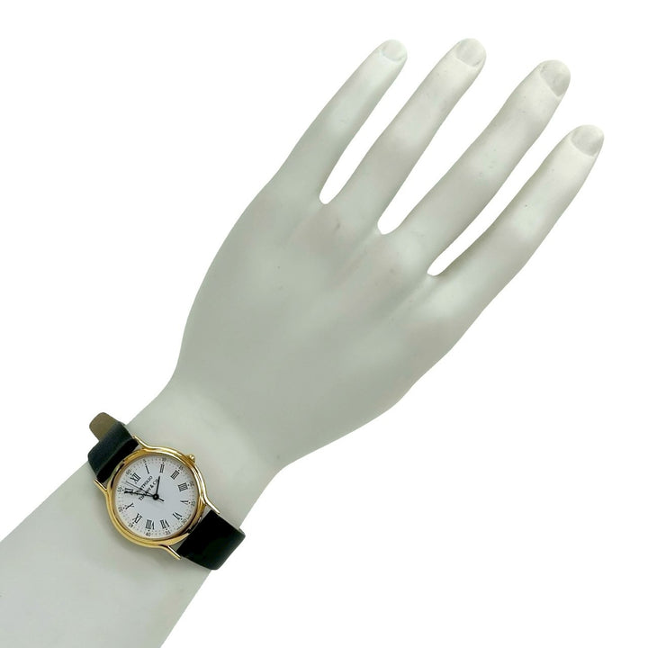 watches tiffany portfolio
