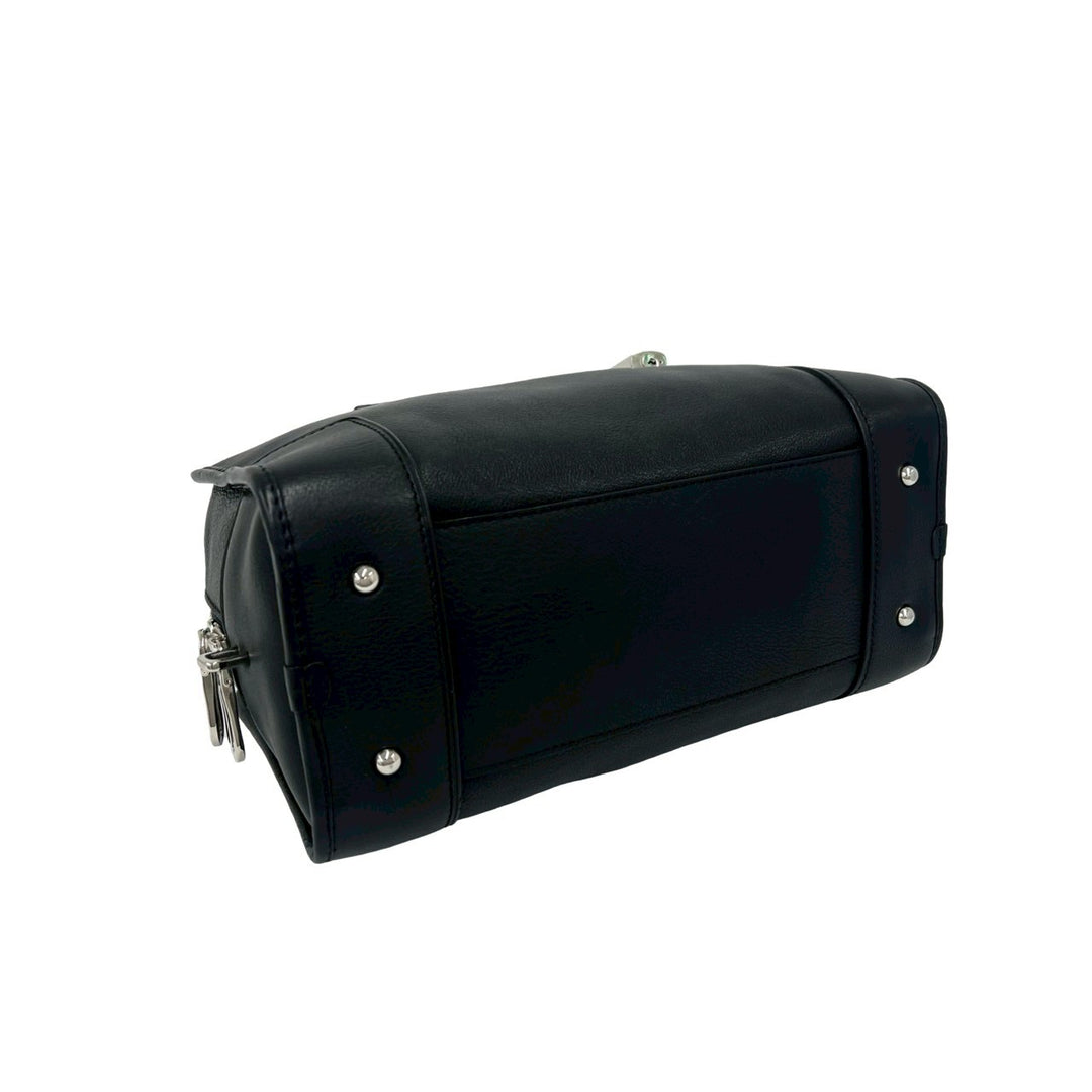 ハンドバッグ ロエベ アマソナ 28