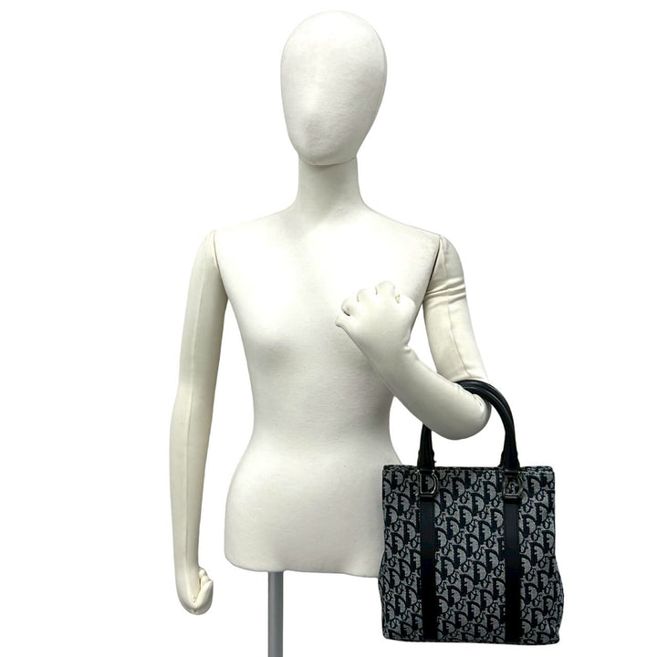 handbag dior