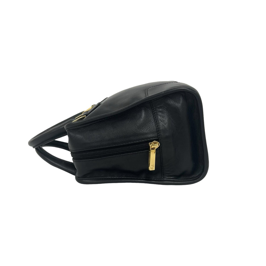 handbag loewe amazona