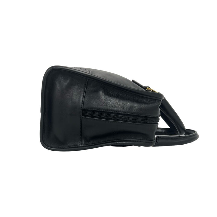handbag loewe amazona