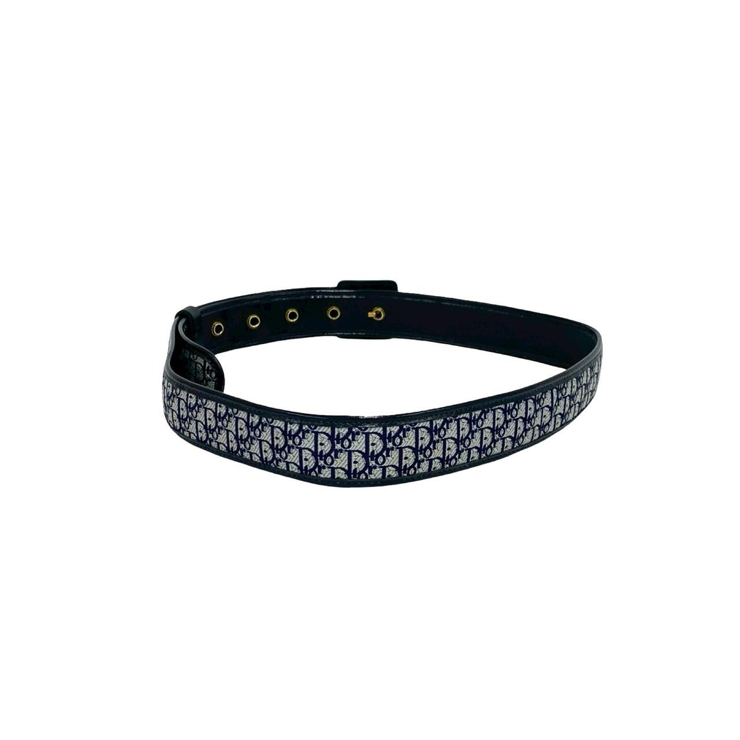 belt dior