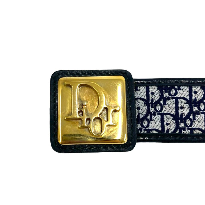 belt dior