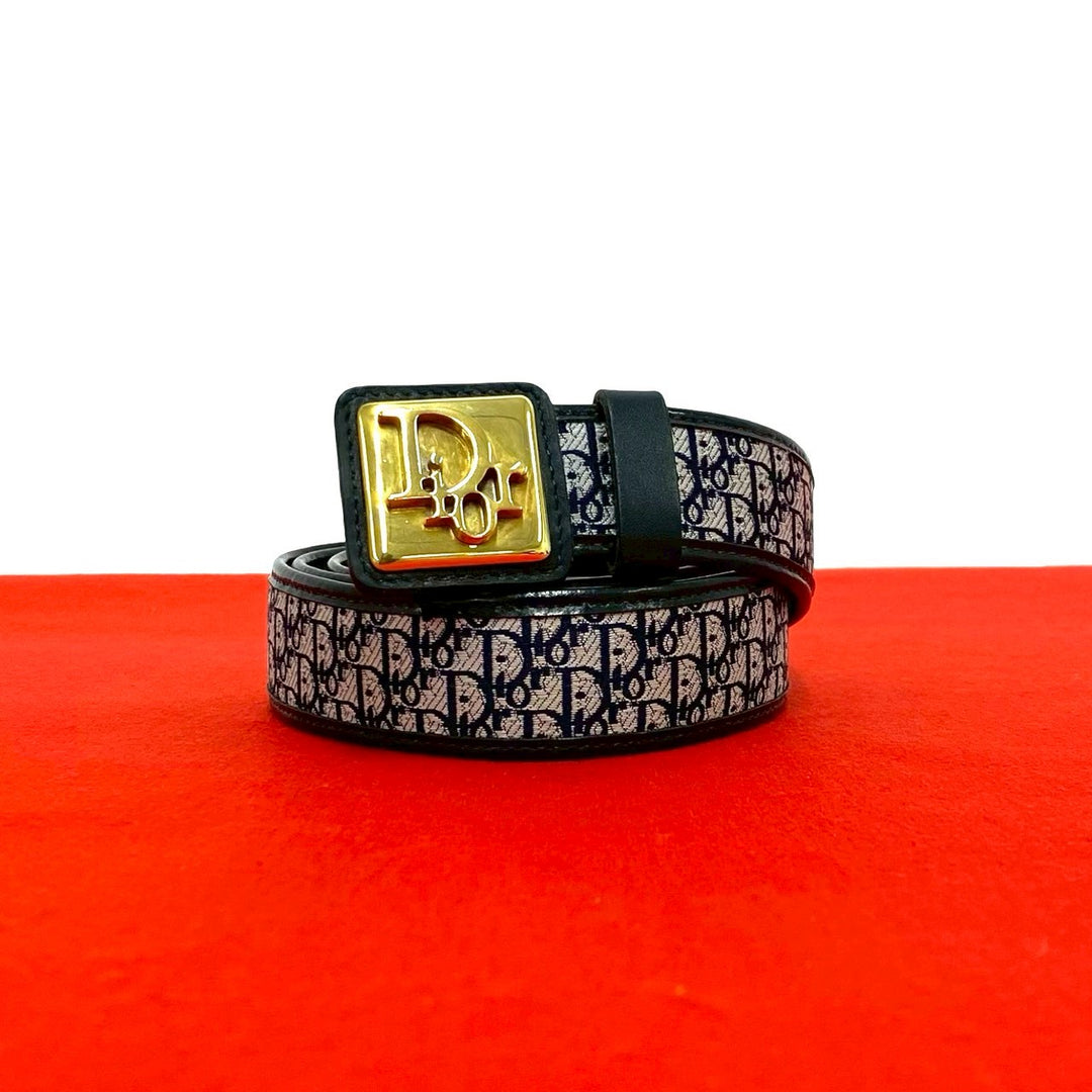 belt dior