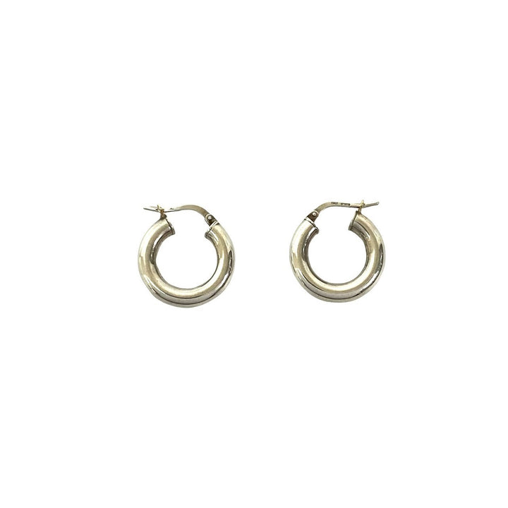 earrings bottega veneta