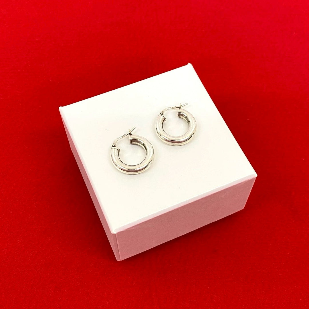 earrings bottega veneta