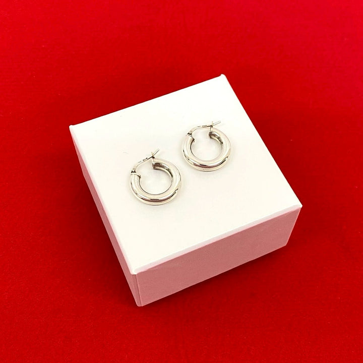 earrings bottega veneta